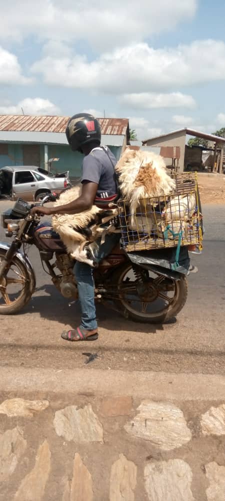 ANADEB REGION CENTRALE: WOROGO Hamissou a maintenant un moyen de déplacement (Moto) pour faire les achats et ventes des volailles et des petits ruminants dans les villages plus reculés grâce au projet EJV.