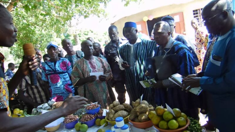 Togo: Première édition de la foire aux semences paysannes.