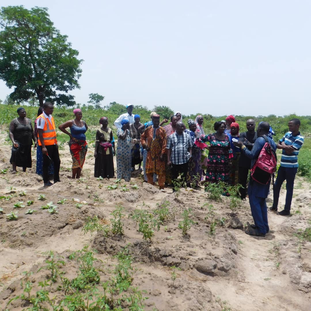 l’ONG PAFED dote la coopérative fézirèwogini d’un système d’irrigation.