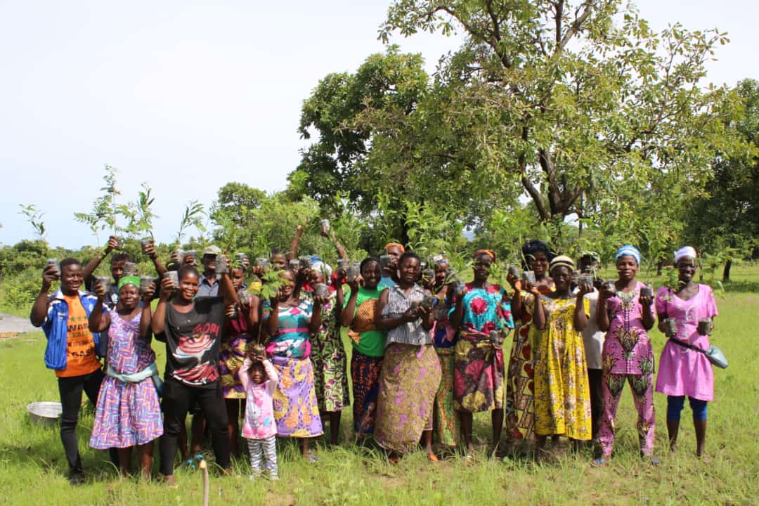 1er Juin: OPAS célèbre la journée nationale de l’arbre au Togo.