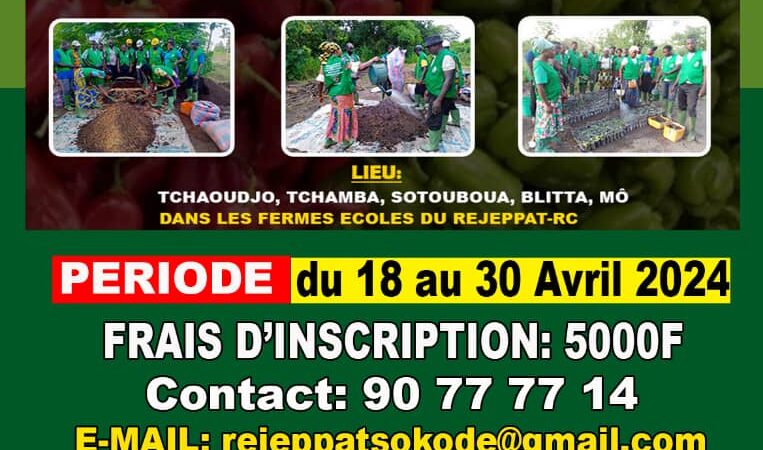 le Réseau des JeunesProducteurs et Professionnels Agricoles du Togo Région Centrale (REJEPPAT-RC) lance un appel à candidature pour la sélection de 114 jeunes agriculteurs (trices)