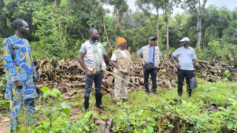 Suivi du projet d’appui à la gestion durable de la forêt sacrée et à l’autonomisation des femmes et jeunes de Tchavadè : Des résultats prometteurs salués par le PMF/FEM