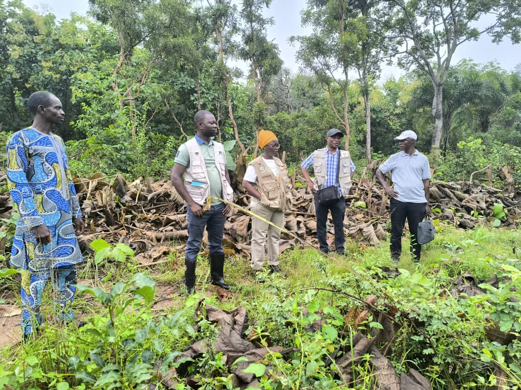 Suivi du projet d’appui à la gestion durable de la forêt sacrée et à l’autonomisation des femmes et jeunes de Tchavadè : Des résultats prometteurs salués par le PMF/FEM