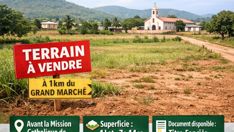 Vous cherchez à investir à Kara ? Voici une opportunité à ne pas manquer ! Un terrain de 1 lot, soit 7 ares 14 centiares, est mis en vente à Lama Kolidè, à proximité immédiate de la mission catholique.
